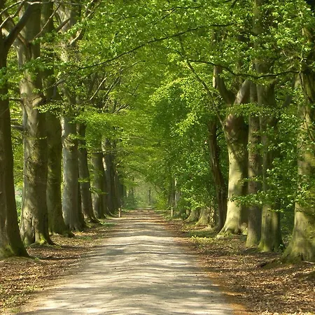 Ξενοδοχείο με διαμερίσματα 